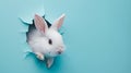 White Rabbit Poking Head Out of Blue Wall. Generative AI