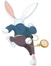 White Rabbit Running Away