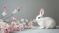 a white rabbit seated in the lower right corner beside spring flowers against a gray background, leaving ample empty