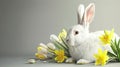 a white rabbit seated in the lower right corner beside spring flowers against a gray background, leaving ample empty