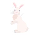 white rabbit sits in cartoon style