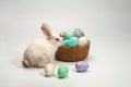 White rabbit standing near a basket with decorated eggs.Easter holiday concept Royalty Free Stock Photo