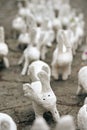 White rabbit statues made of plaster close up, outdoor art exhibition, artificial white hares