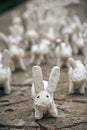 White rabbit statues made of plaster close up, outdoor art exhibition, artificial white hares