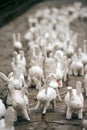 White rabbit statues made of plaster at outdoor art exhibition, funny white hares on street