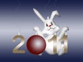 White rabbit symbol east chinese new 2011 year