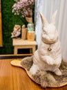 White rabbit Royalty Free Stock Photo