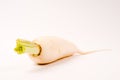 White radish Royalty Free Stock Photo