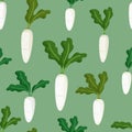 White radish background Royalty Free Stock Photo
