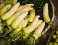 White Radish on a bamboo basket photo taken in Bogor Indonesia Royalty Free Stock Photo