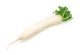 White radish