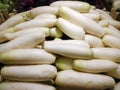 White radish for sale Royalty Free Stock Photo