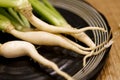 White Radish Seedlings