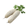 White Radish on Transparent Background - Ai Generated Royalty Free Stock Photo