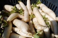 White Radish vegetables at hill tracts market in Bangladesh