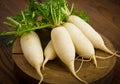White radish Royalty Free Stock Photo