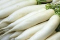 White radishes