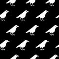 White raven seamless pattern. Crow bird isolated on a black background