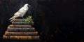 White Raven Sitting on Books