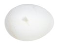 white raw chicken egg with adhering down isolated