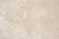 White real wool with beige top texture background. light cream natural sheep wool.  seamless plush cotton, texture of fluffy fur Royalty Free Stock Photo
