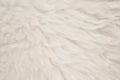 White real wool with beige top texture background. light cream natural sheep wool.  seamless plush cotton, texture of fluffy fur Royalty Free Stock Photo