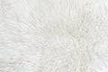 White real wool with beige top texture background. light cream natural sheep wool.  seamless plush cotton, texture of fluffy fur Royalty Free Stock Photo