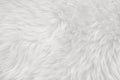 White real wool with beige top texture background. light cream natural sheep wool.  seamless plush cotton, texture of fluffy fur Royalty Free Stock Photo