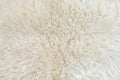 White real wool with beige top texture background. light cream natural sheep wool. seamless plush cotton, texture of fluffy fur