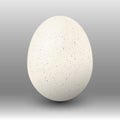 White realistic egg over dark background. Vector EPS10 illustration Royalty Free Stock Photo