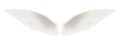 White realistic wings. Pair of white isolated angel style wings with 3D feathers, bird wings design - vector