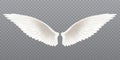 White realistic wings. Pair of white isolated angel style wings with 3D feathers on transparent background, bird wings design