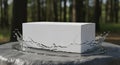 White Rectangular Box on Textured Stone Surface with Water Splash in Forest Setting Royalty Free Stock Photo