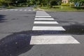 White rectangular intermittent crosswalk markers painted on the asphalt road in a residential neighborhood Royalty Free Stock Photo