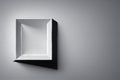 White Rectangular picture frame mockup for Photo Gray Background.
