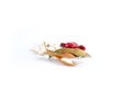 White and red beans close-up. Dry bean pods on a white background. Royalty Free Stock Photo