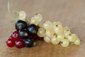 White, red and black currant Royalty Free Stock Photo