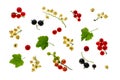 White, red and black currants arranged on white background Royalty Free Stock Photo