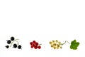 White, red and black currants with copy space on white background Royalty Free Stock Photo