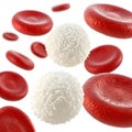 White and red blood cells isolated on white background Royalty Free Stock Photo