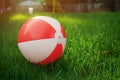 White and red color of the ball in the garden green grass Royalty Free Stock Photo