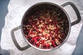 White and red currant berries in a pot Royalty Free Stock Photo