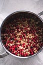 White and red currant berries in a pot Royalty Free Stock Photo