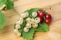 White and red currant Royalty Free Stock Photo