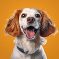 Cheerful Spaniel Dog Portrait In Hyper-realistic Octane Render