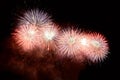 White and red fireworks display on dark sky background Royalty Free Stock Photo