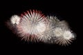 White and red fireworks display on dark sky background Royalty Free Stock Photo