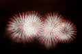 White and red fireworks display on dark sky background Royalty Free Stock Photo