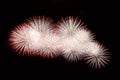 White and red fireworks display on dark sky background Royalty Free Stock Photo