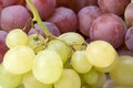 White and red grapes Royalty Free Stock Photo